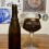 Westvleteren Abt 12