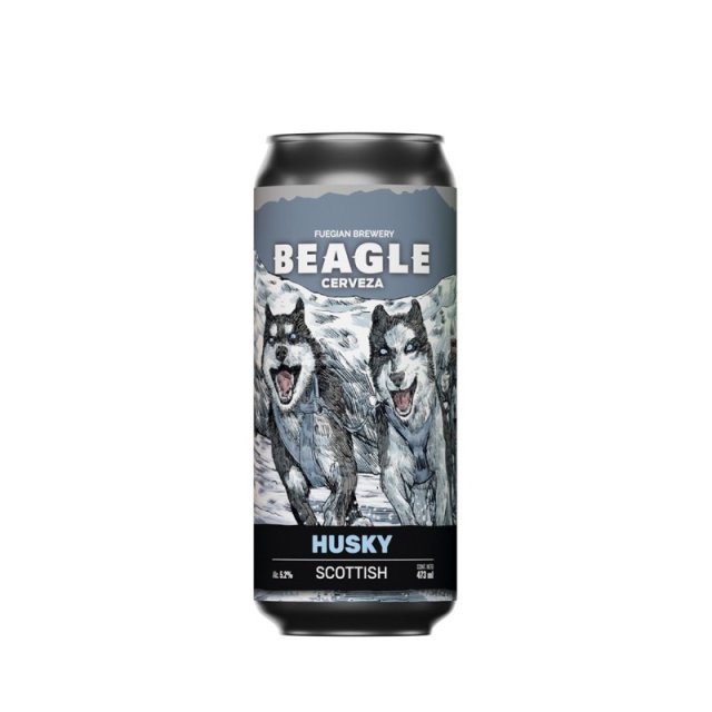 Beagle Husky