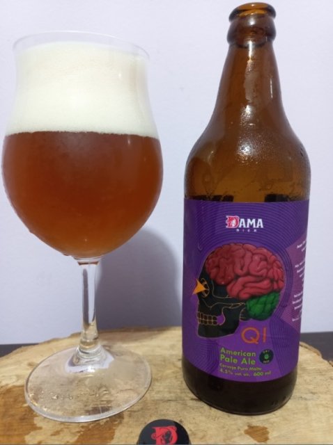 Dama Bier QI