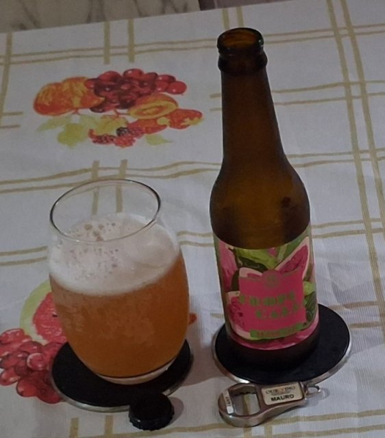 Tropicália Blond Ale